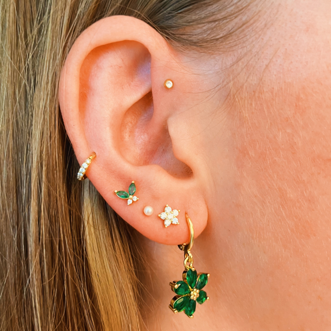 Piercing shining butterfly green