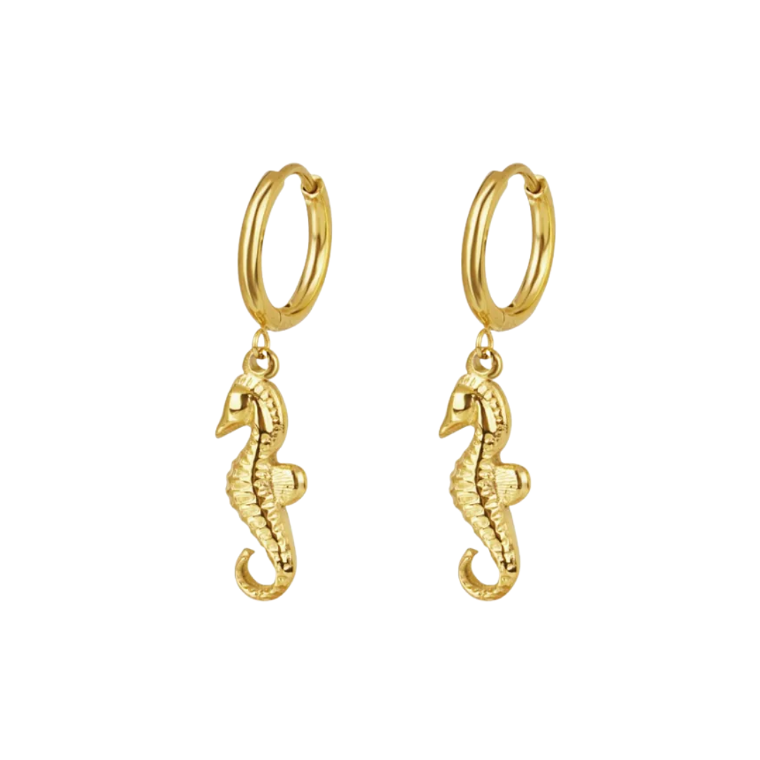 Oorbellen seahorse